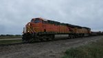 BNSF 7674 & 8818